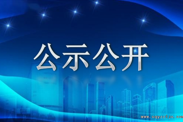重庆云臻建设工程质量检测有限公司信息公示