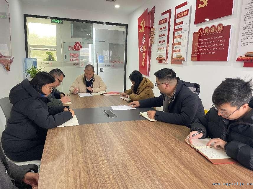 党支部开展学习贯彻党的二十届三中全会精神